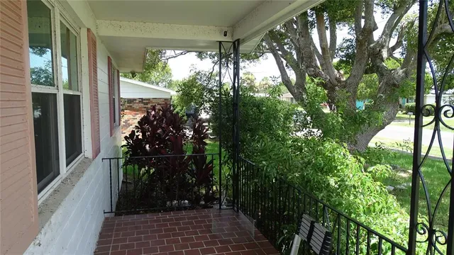 a view of a pathway with a tree