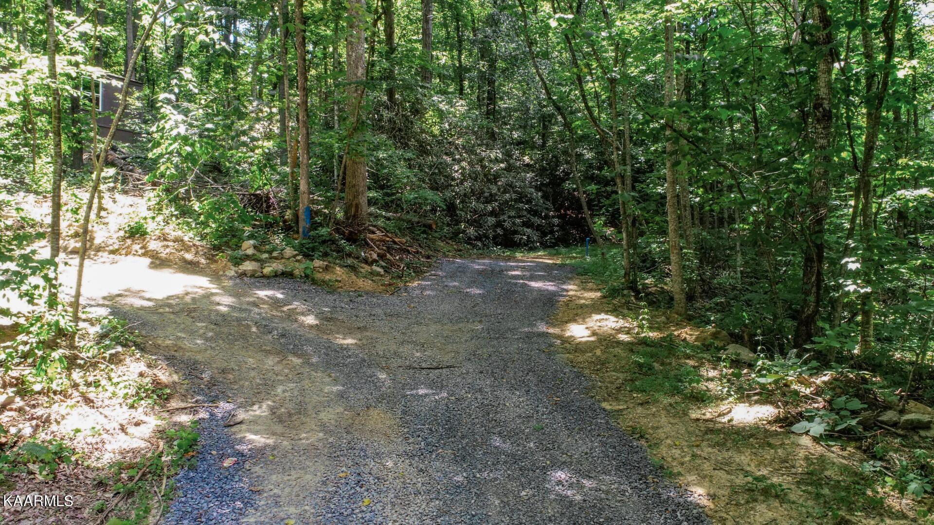 Laurelwood Road Cosby, TN 37722 - Photo 3 of 35 3