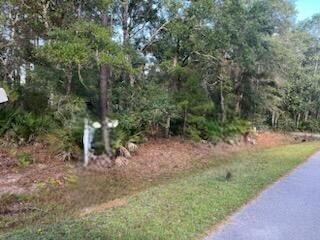 D-18 Dover Lane Freeport, FL 32439 - Photo 5 of 5 a view of a forest with trees in the background
