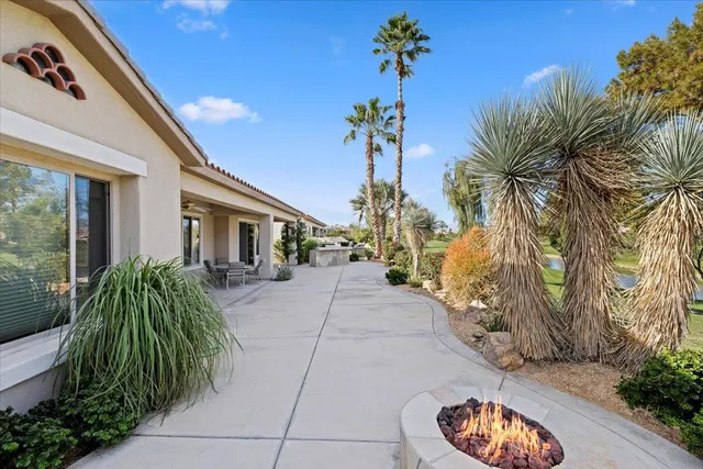 a view of a park with large trees