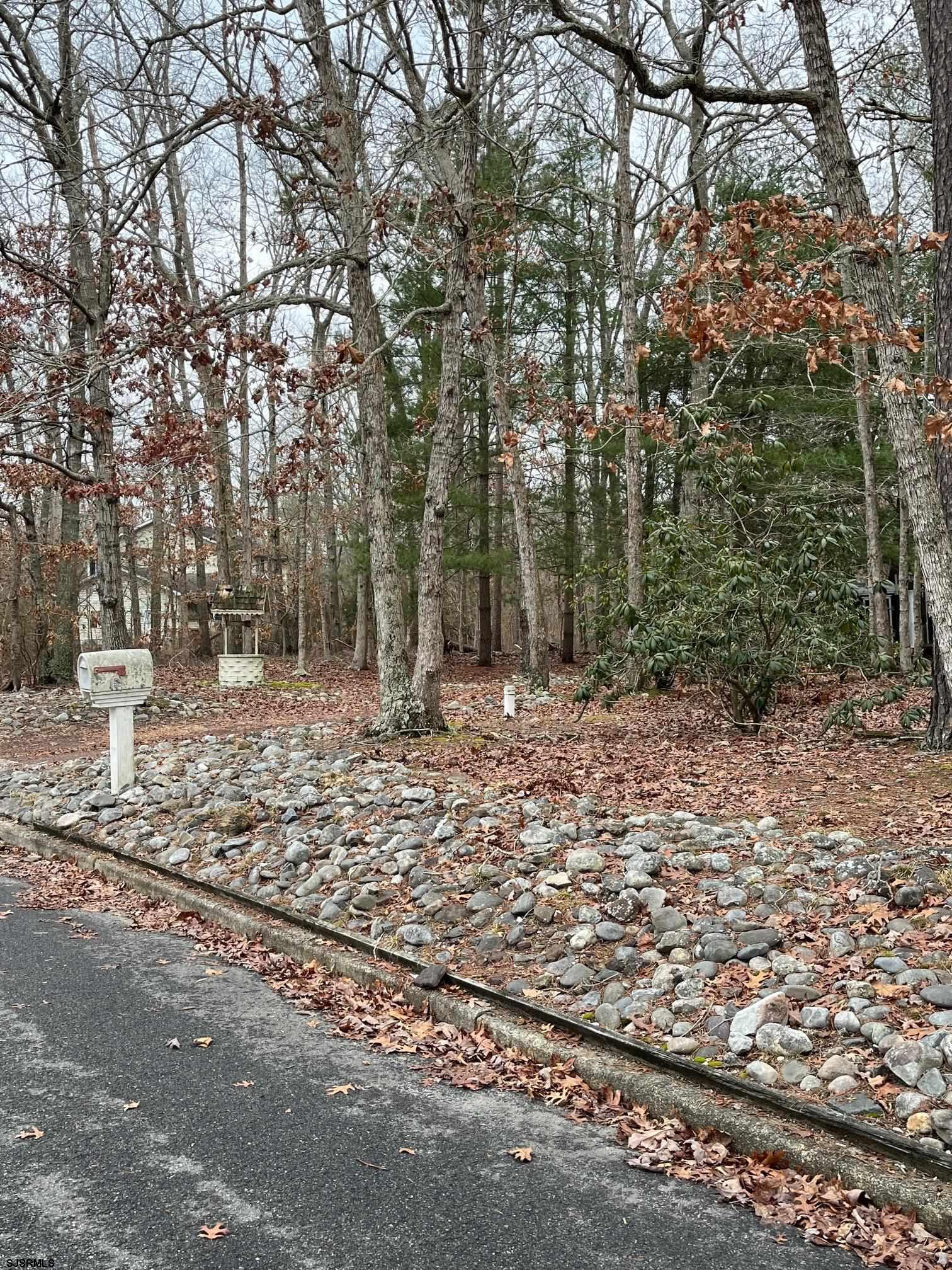 15 East Sunrise Road Woodbine, NJ 08270 - Photo 10 of 23 a view of outdoor space with trees