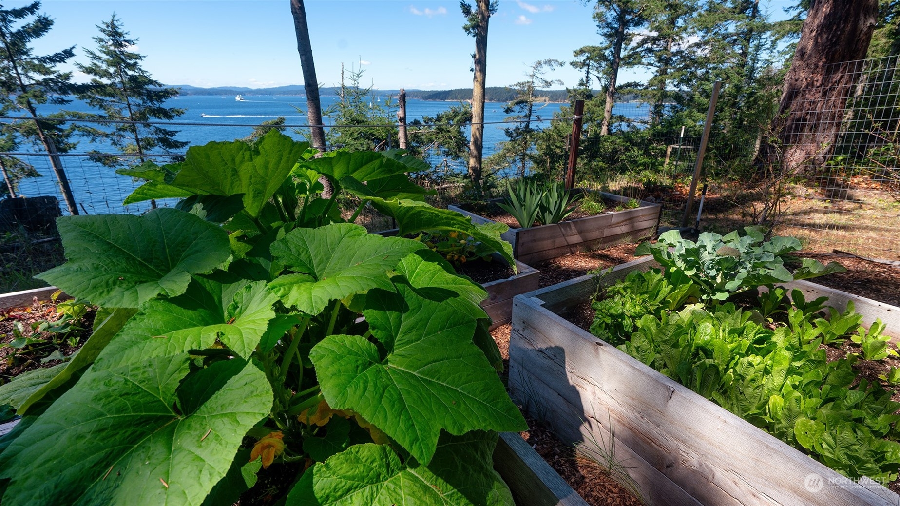 1313 Lopez Road Lopez Island, WA 98261 - Photo 29 of 31 a view of a garden with plants