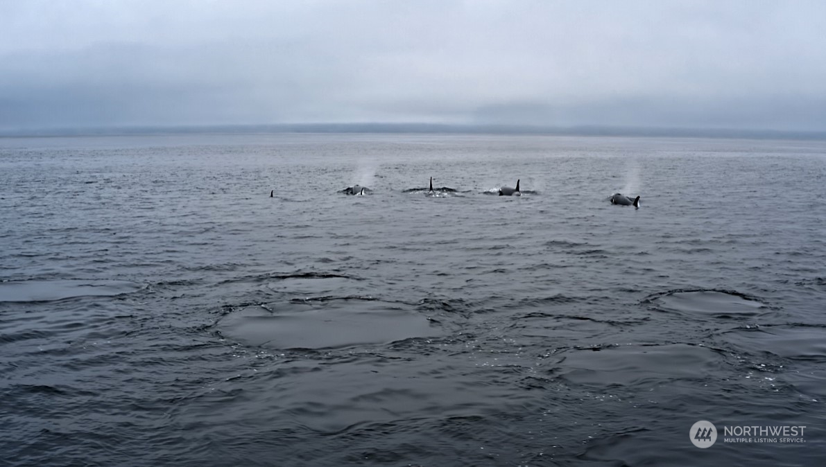 1313 Lopez Road Lopez Island, WA 98261 - Photo 4 of 31