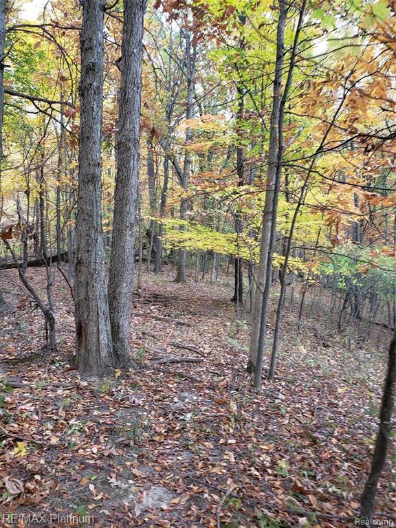 2 Wiggins Road Howell, MI 48855 - Photo 18 of 21