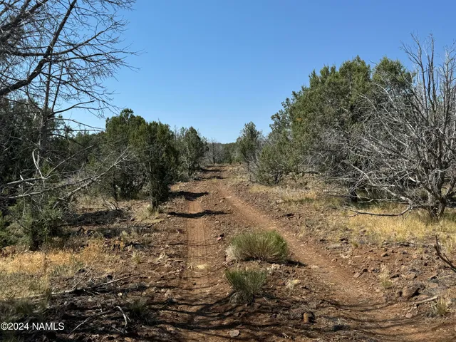 $75,000 | 24 Parcel 205-20-024 Pineveta Road, Williams, AZ 86046