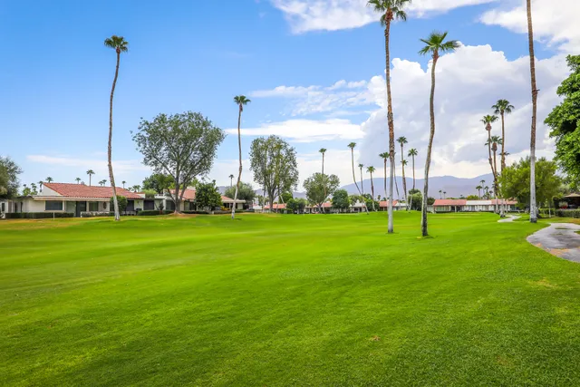a view of a park with a large tree