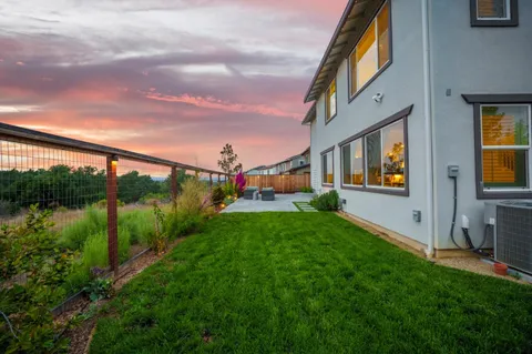 a view of a garden from a windows