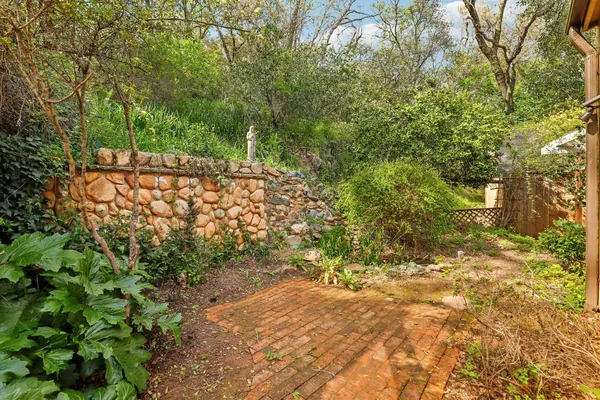 a view of yard