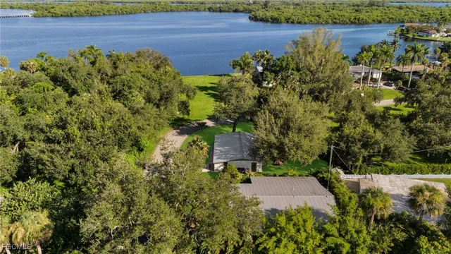 a view of a yard with plants