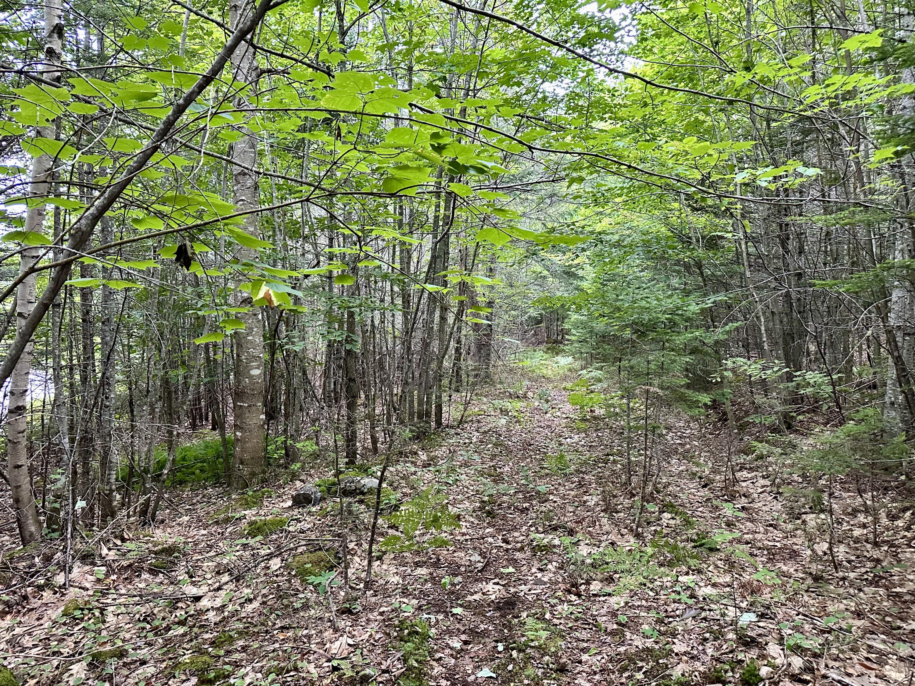 Tbd Tbd East Road Greenville, ME 04441 - Photo 1 of 15 IMG_2773