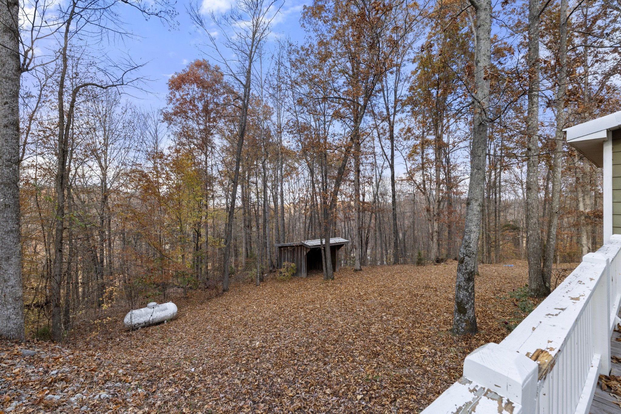 1148 Stoltz Road Centerville, TN 37033 - Photo 33 of 52 a view of a bench in a backyard