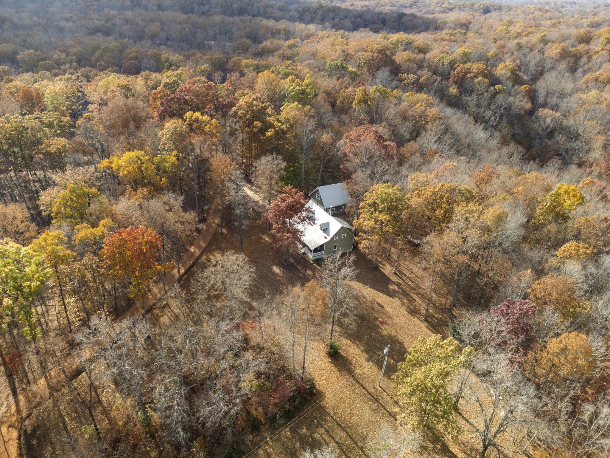1148 Stoltz Road Centerville, TN 37033 - Photo 39 of 52 a view of a yard of a house