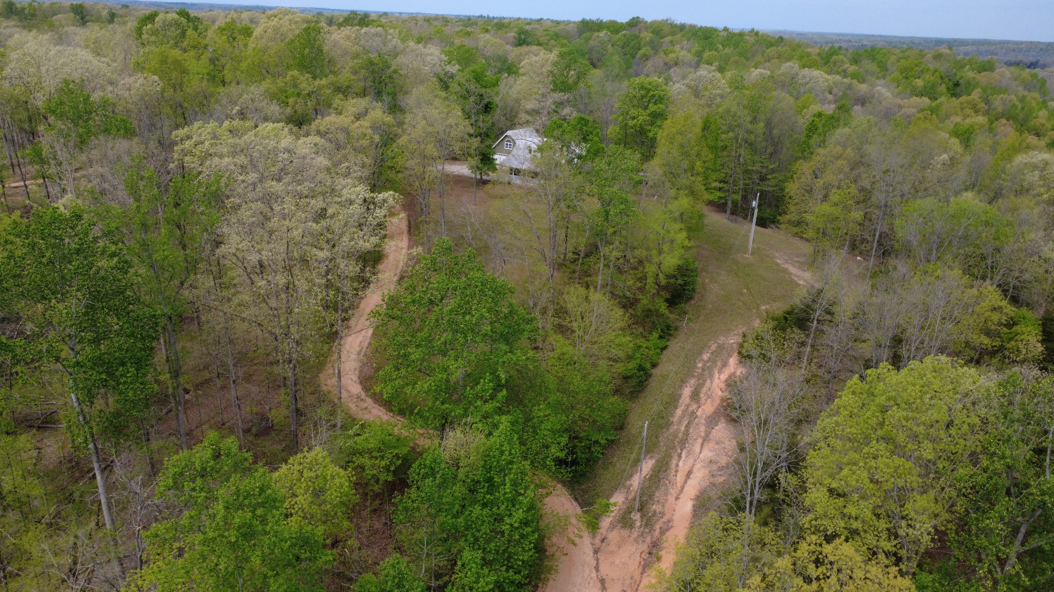 1148 Stoltz Road Centerville, TN 37033 - Photo 6 of 52 a view of a forest with a lake