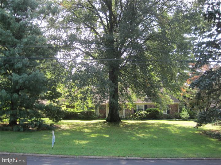 21 Williams Road Haverford, PA 19041 - Photo 3 of 23 Front Yard
