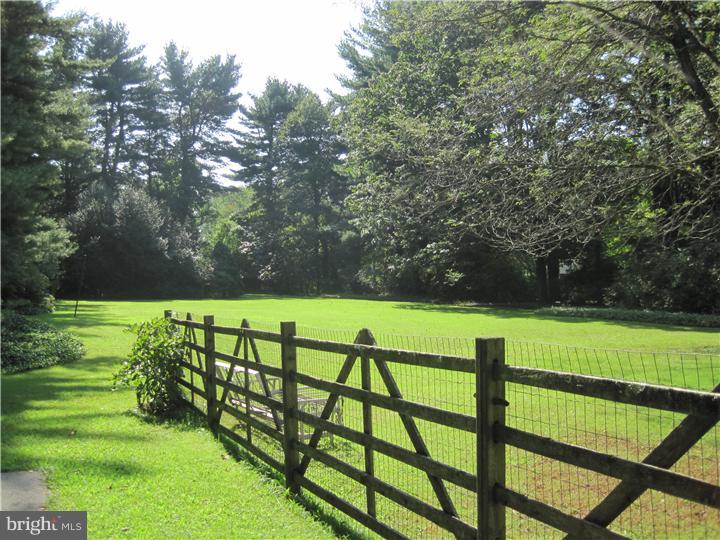 21 Williams Road Haverford, PA 19041 - Photo 5 of 23 Back Yard