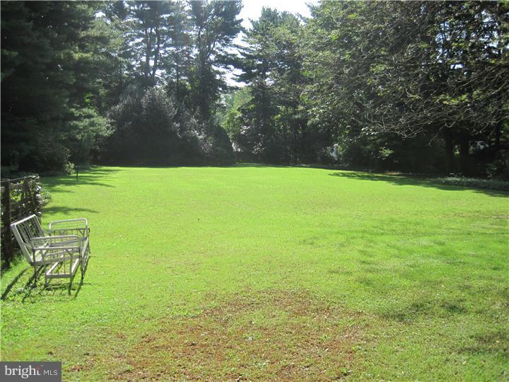 21 Williams Road Haverford, PA 19041 - Photo 6 of 23 Back Yard
