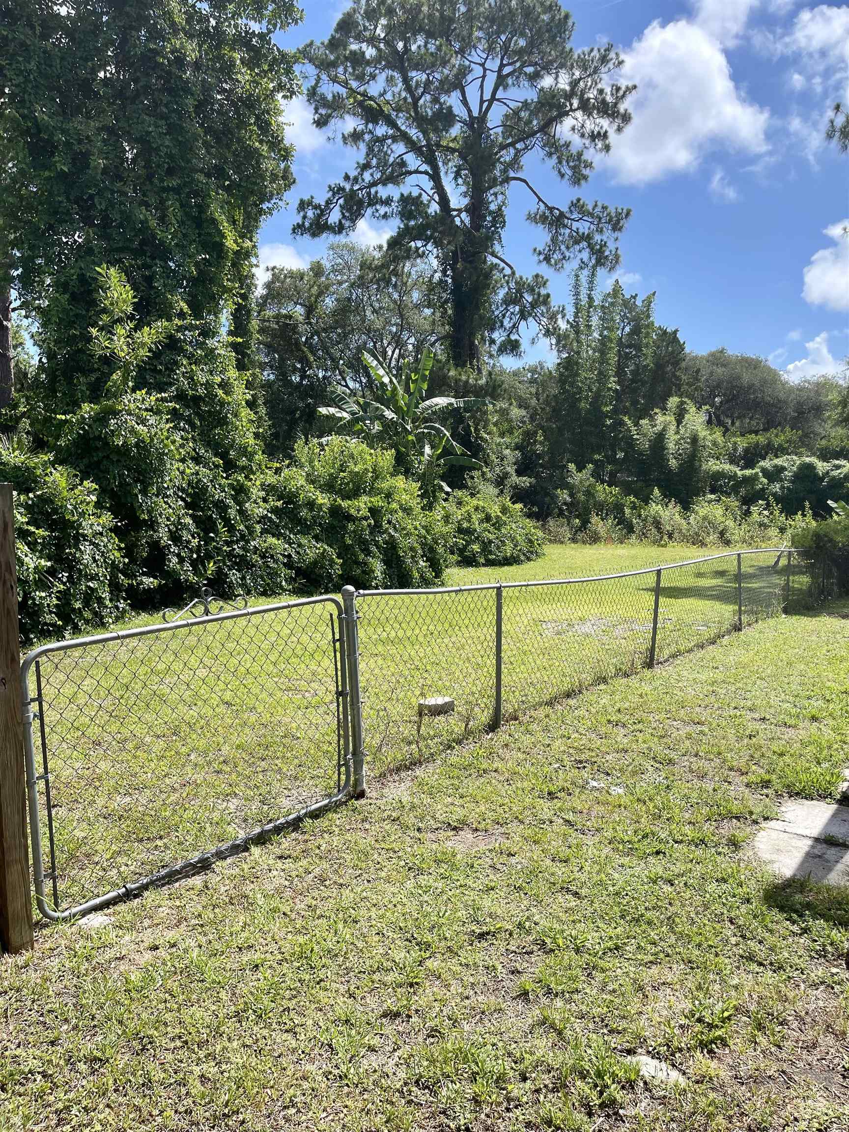 209 Gerona Road St. Augustine, FL 32086 - Photo 22 of 23 a view of a field with an trees