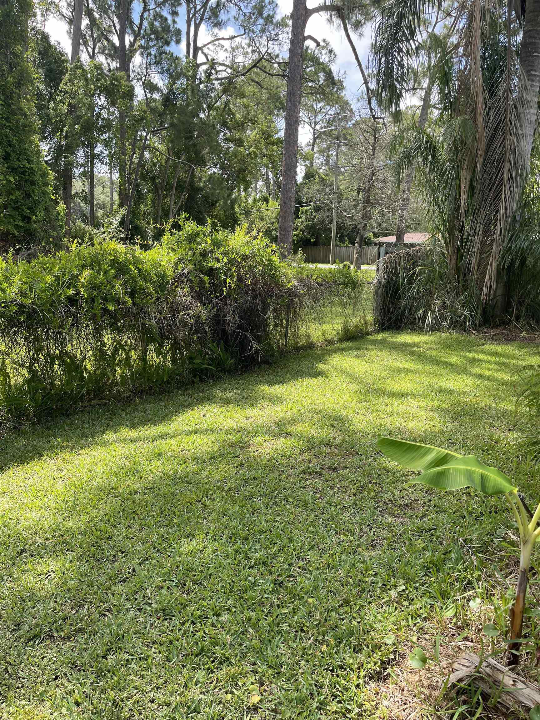 209 Gerona Road St. Augustine, FL 32086 - Photo 23 of 23 a view of a field with a trees
