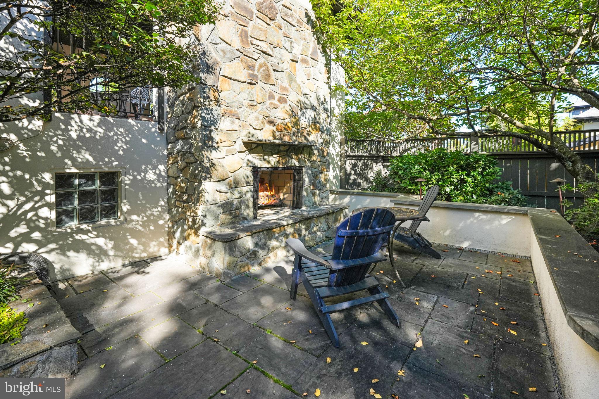 2733 35th Street Northwest Washington, DC 20007 - Photo 49 of 61 Spectacular gardens