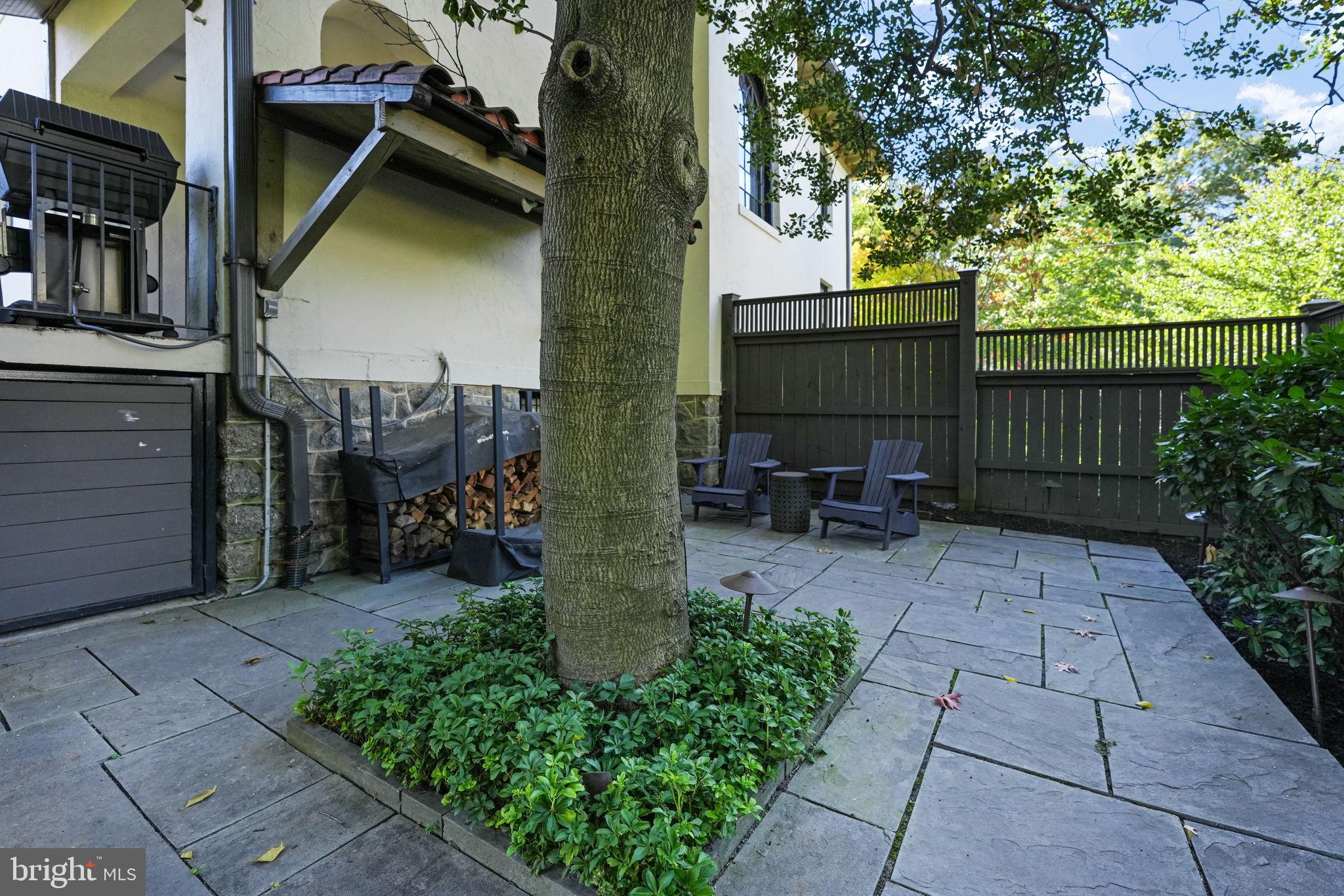 2733 35th Street Northwest Washington, DC 20007 - Photo 54 of 61 Spectacular gardens