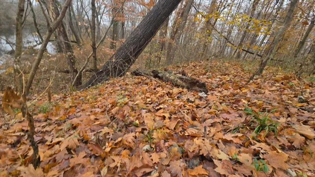 $30,000 | Shire Road, Dubois, IN 47527