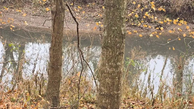 $30,000 | Shire Road, Dubois, IN 47527