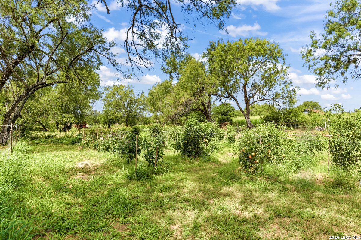 16306 Somerset Road, Unit 2 Von Ormy, TX 78073 - Photo 38 of 49
