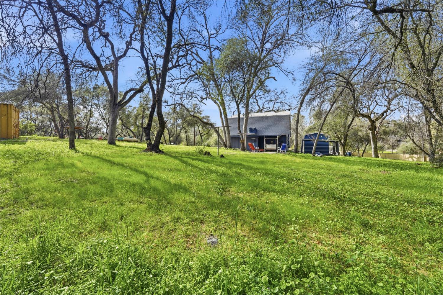 31325 Delaware Road Coarsegold, CA 93614 - Photo 13 of 39 a view of a house with a big yard