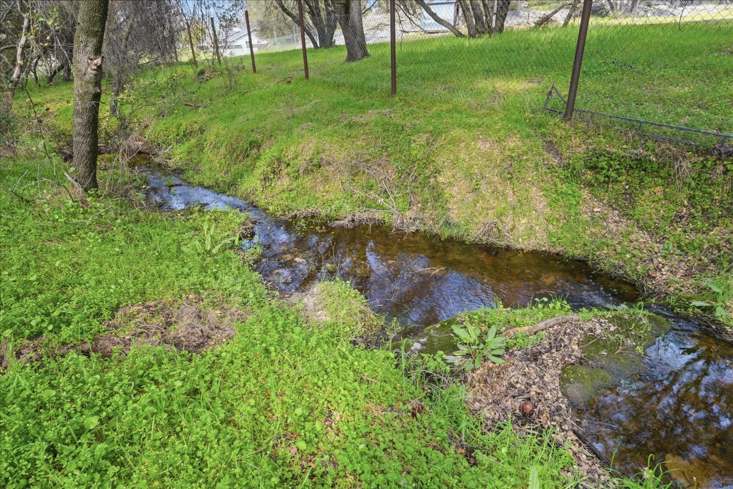 31325 Delaware Road Coarsegold, CA 93614 - Photo 17 of 39 a view of backyard with green space