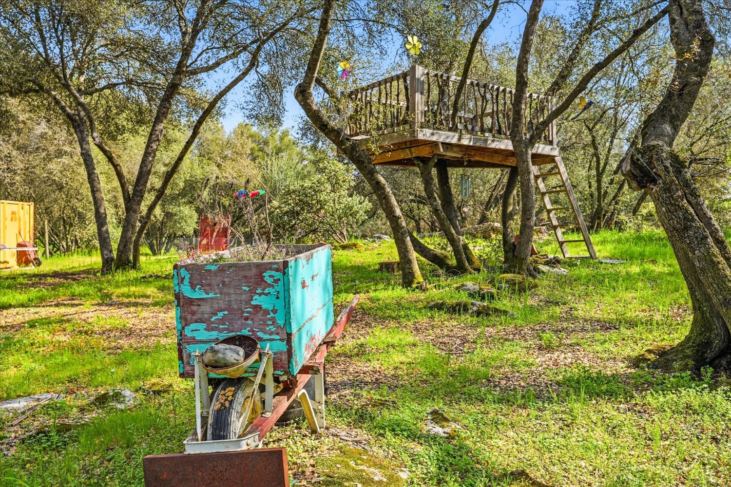 31325 Delaware Road Coarsegold, CA 93614 - Photo 32 of 39