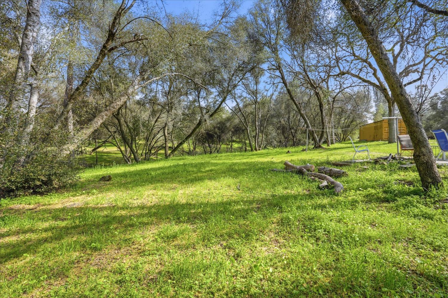 31325 Delaware Road Coarsegold, CA 93614 - Photo 39 of 39 a view of a field with a tree