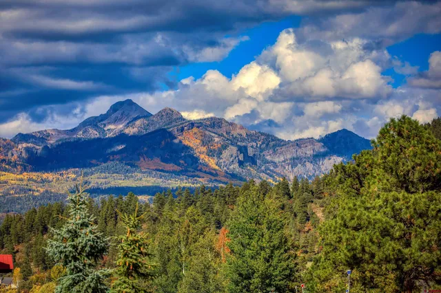 a view of a flower in a garden