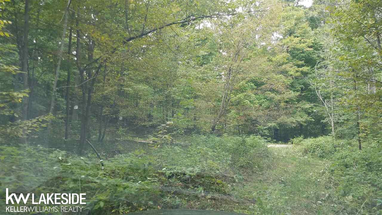 Nhn North 27th Road Mesick, MI 49668 - Photo 10 of 11
