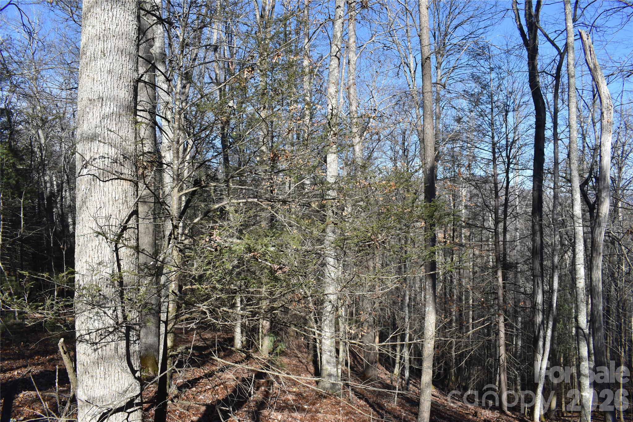 448 Sweetwater Road Green Mountain, NC 28740 - Photo 11 of 47