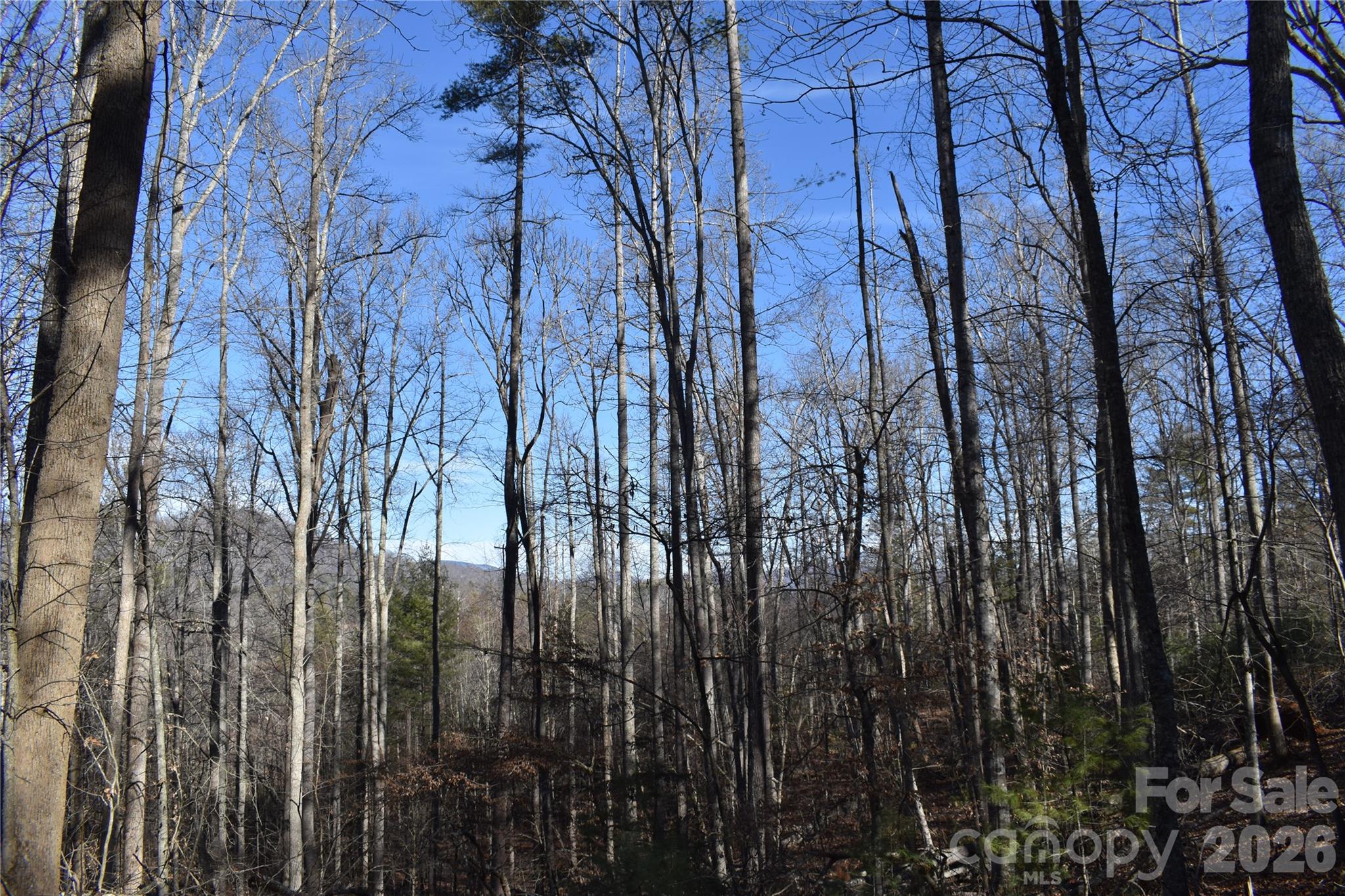 448 Sweetwater Road Green Mountain, NC 28740 - Photo 20 of 47