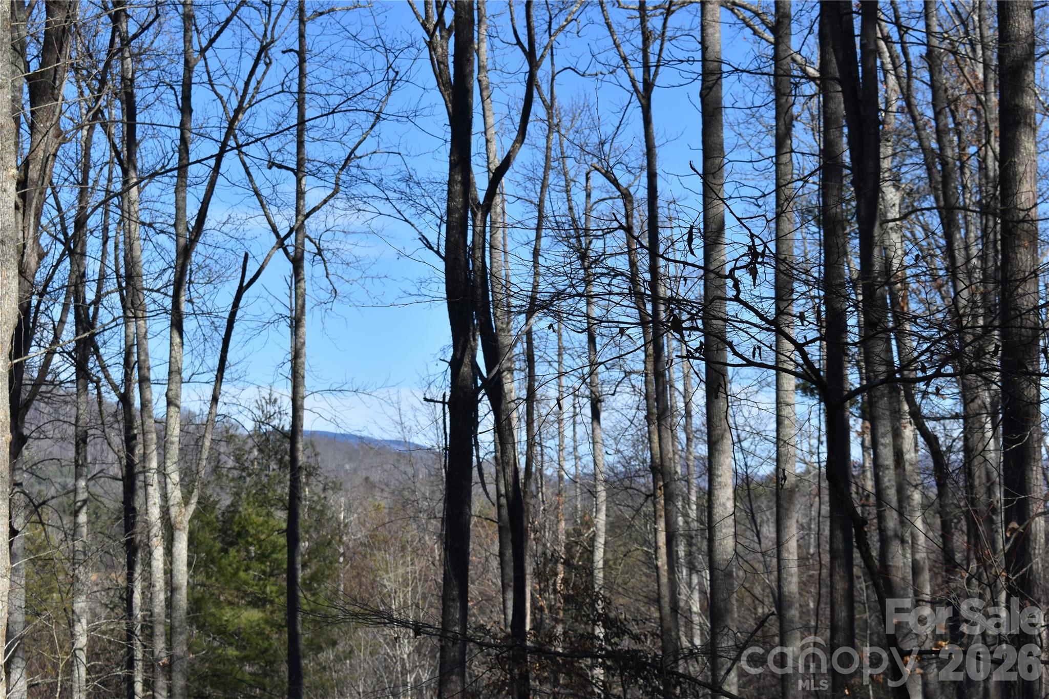 448 Sweetwater Road Green Mountain, NC 28740 - Photo 21 of 47