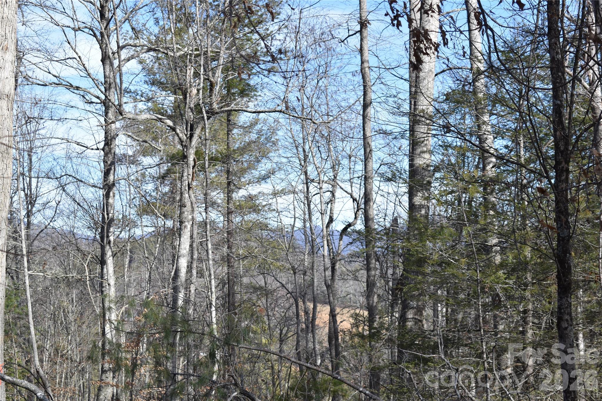 448 Sweetwater Road Green Mountain, NC 28740 - Photo 26 of 47