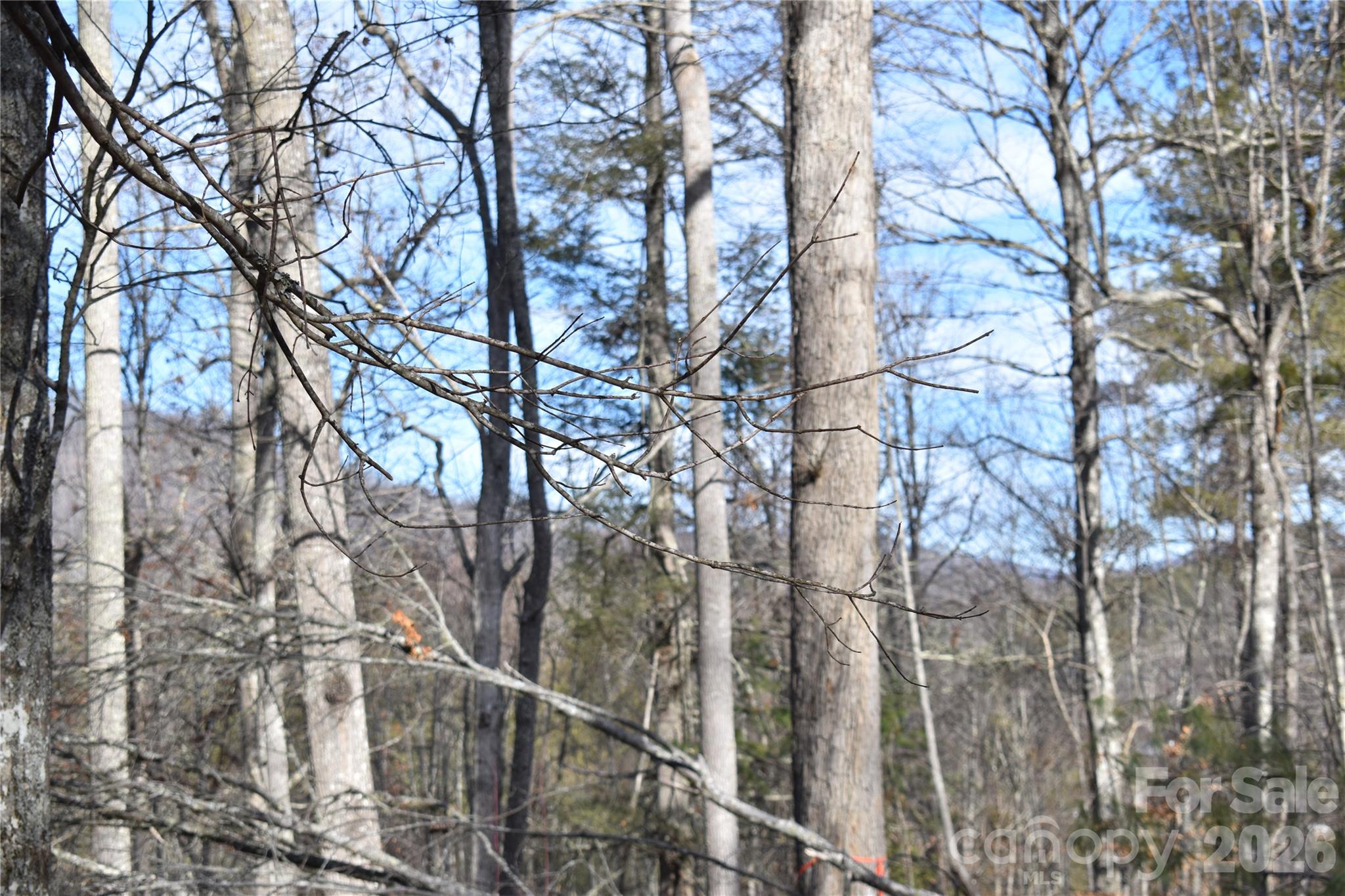 448 Sweetwater Road Green Mountain, NC 28740 - Photo 27 of 47