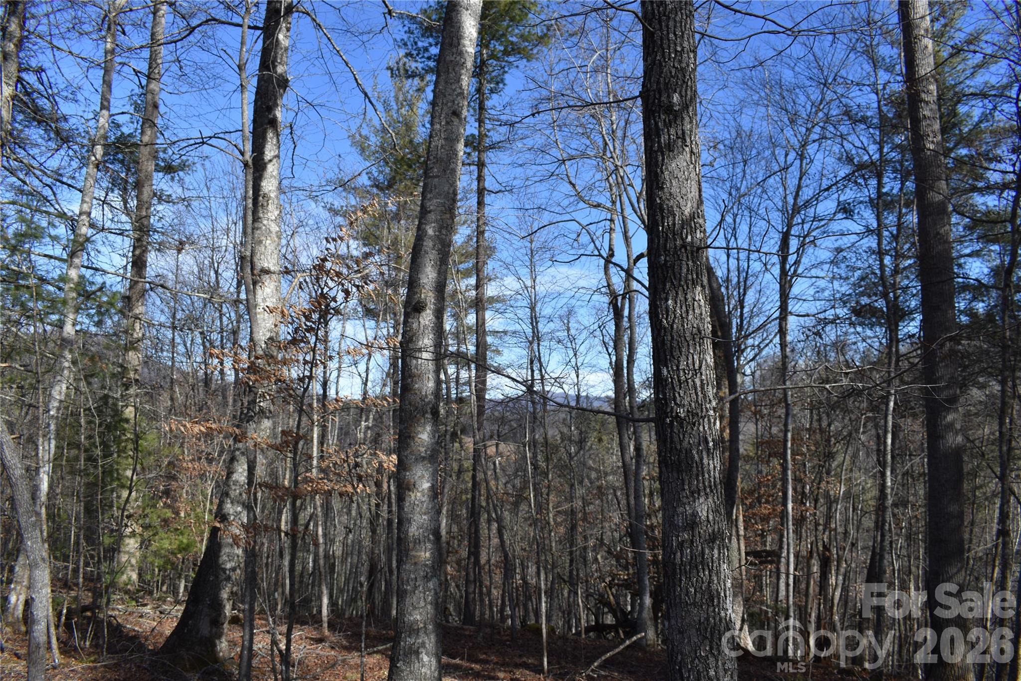 448 Sweetwater Road Green Mountain, NC 28740 - Photo 31 of 47