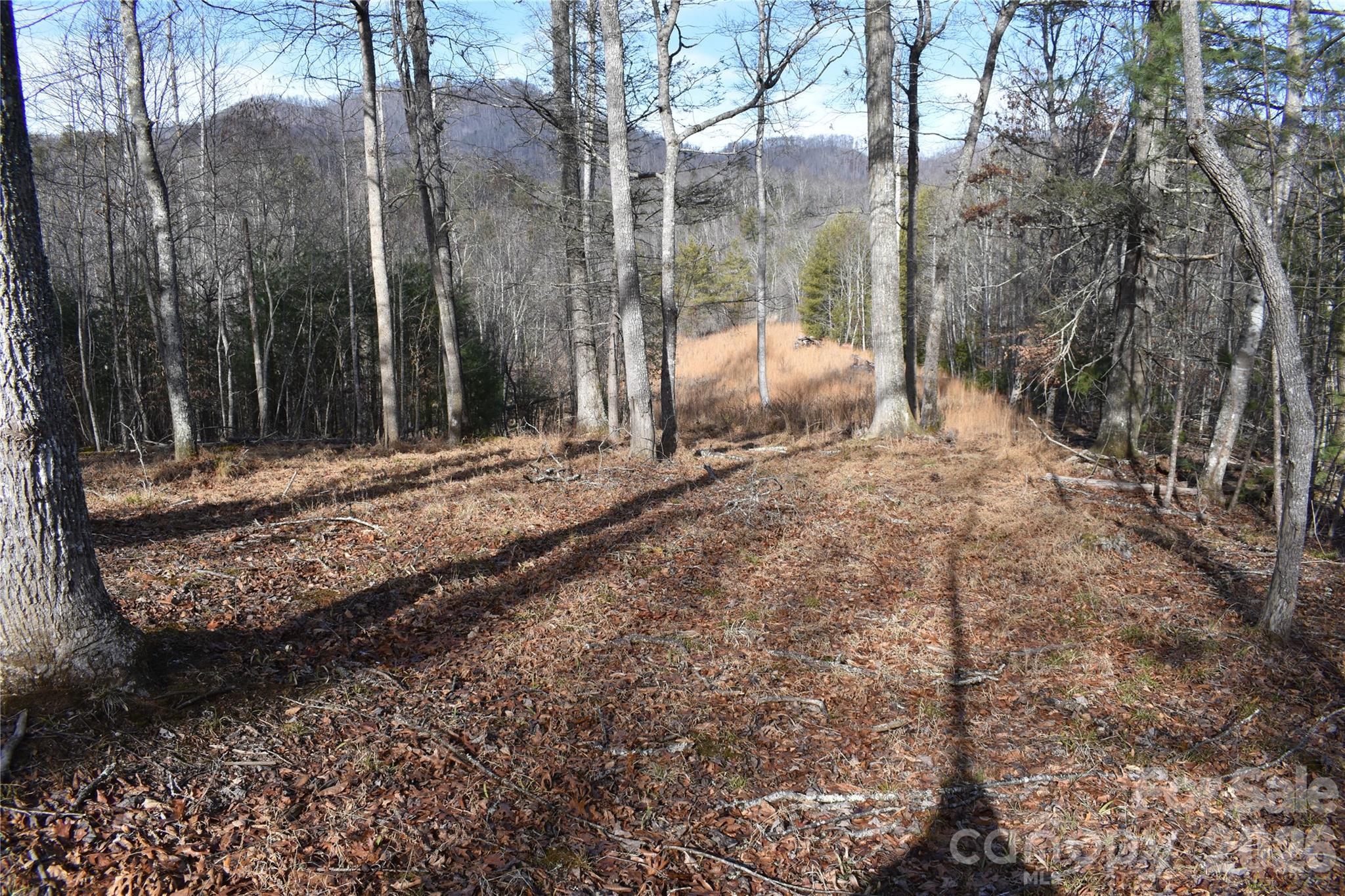 448 Sweetwater Road Green Mountain, NC 28740 - Photo 34 of 47