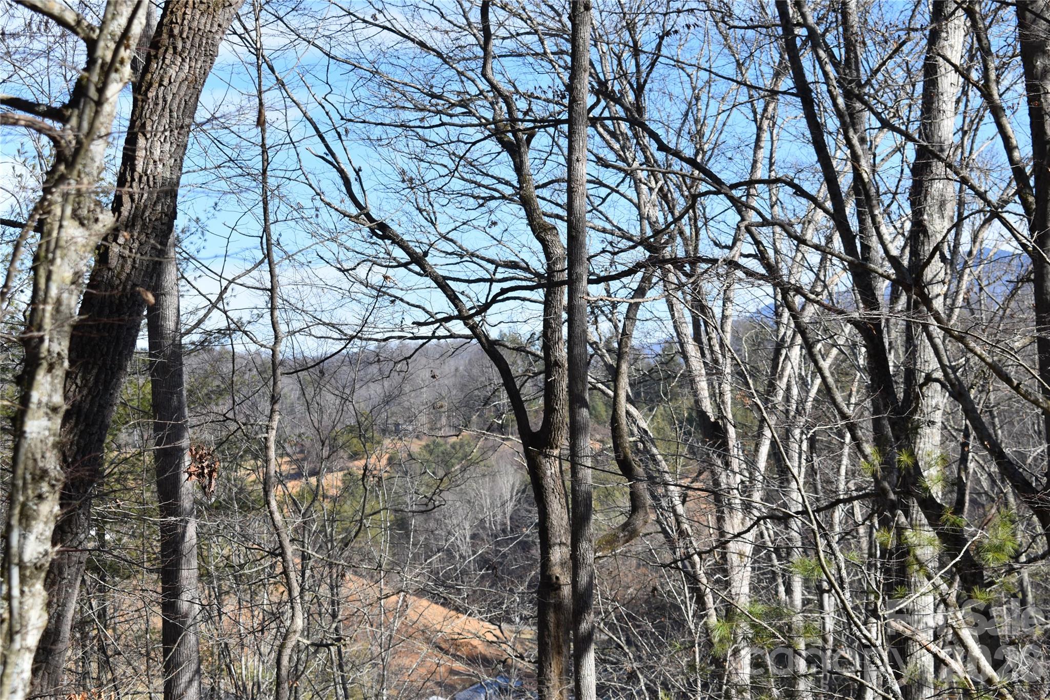 448 Sweetwater Road Green Mountain, NC 28740 - Photo 38 of 47