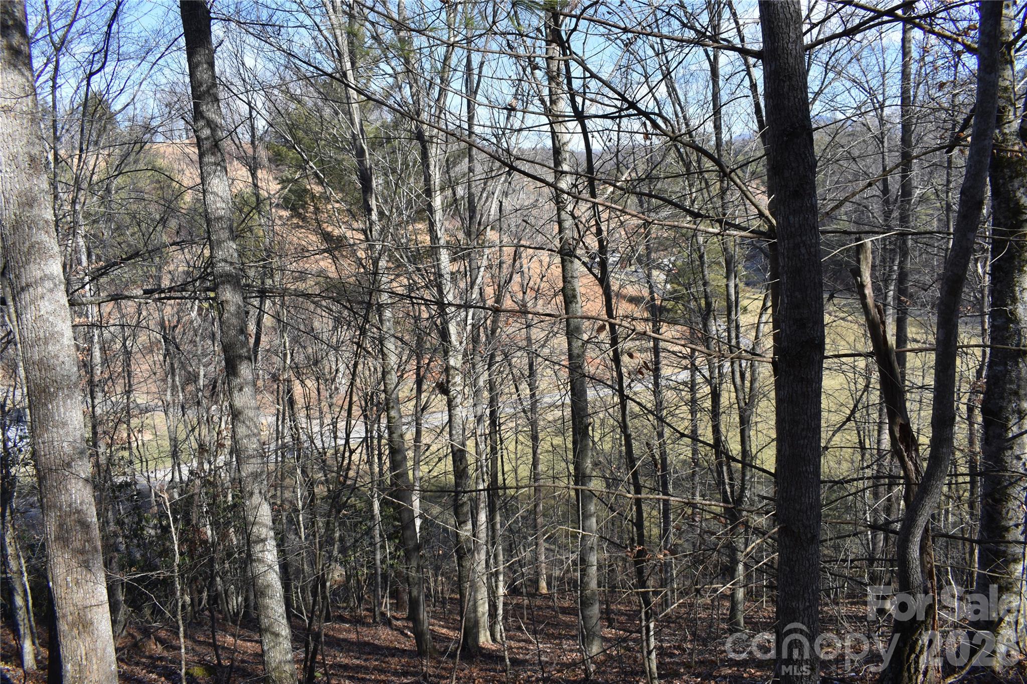 448 Sweetwater Road Green Mountain, NC 28740 - Photo 39 of 47