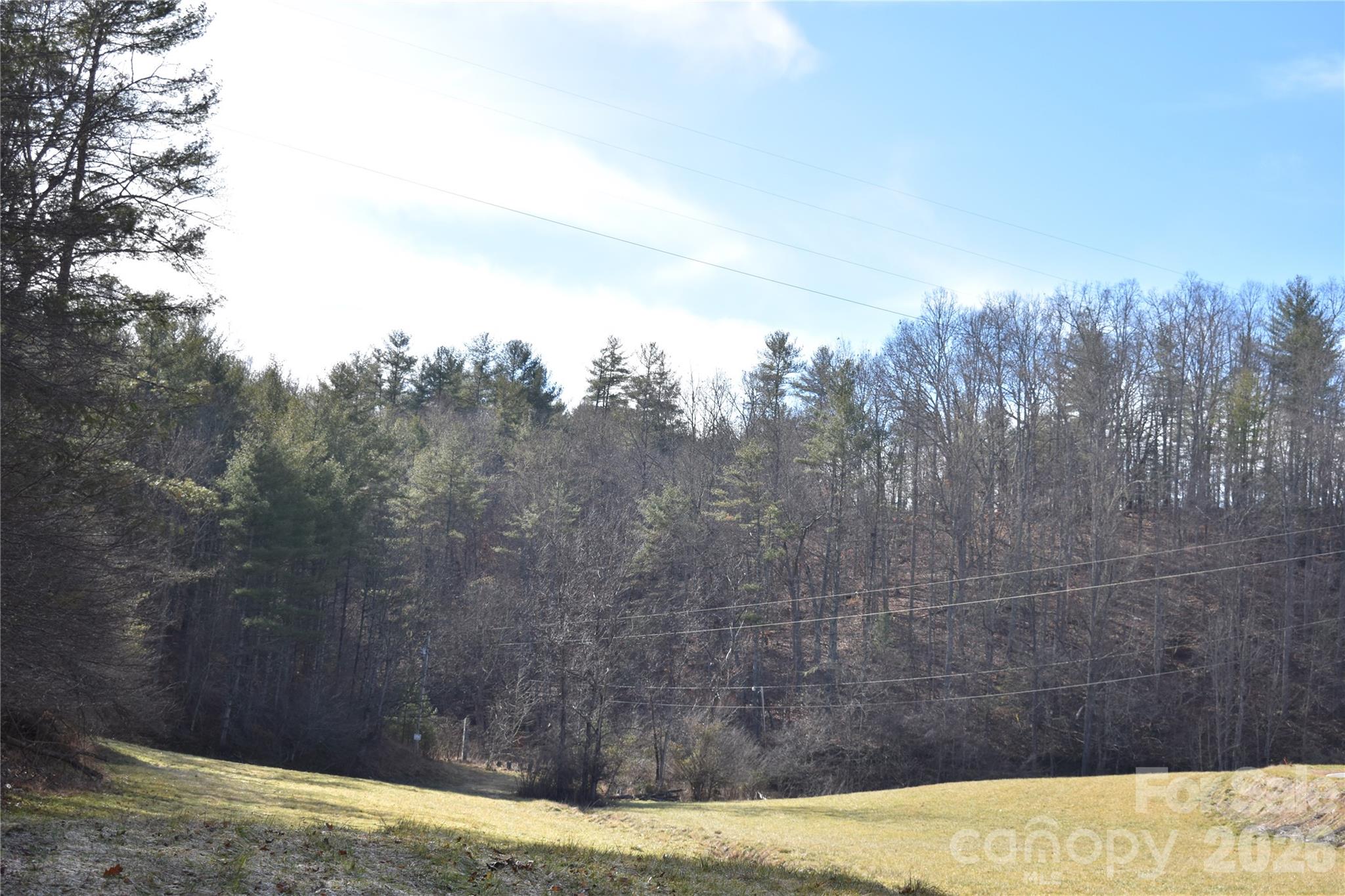 448 Sweetwater Road Green Mountain, NC 28740 - Photo 40 of 47