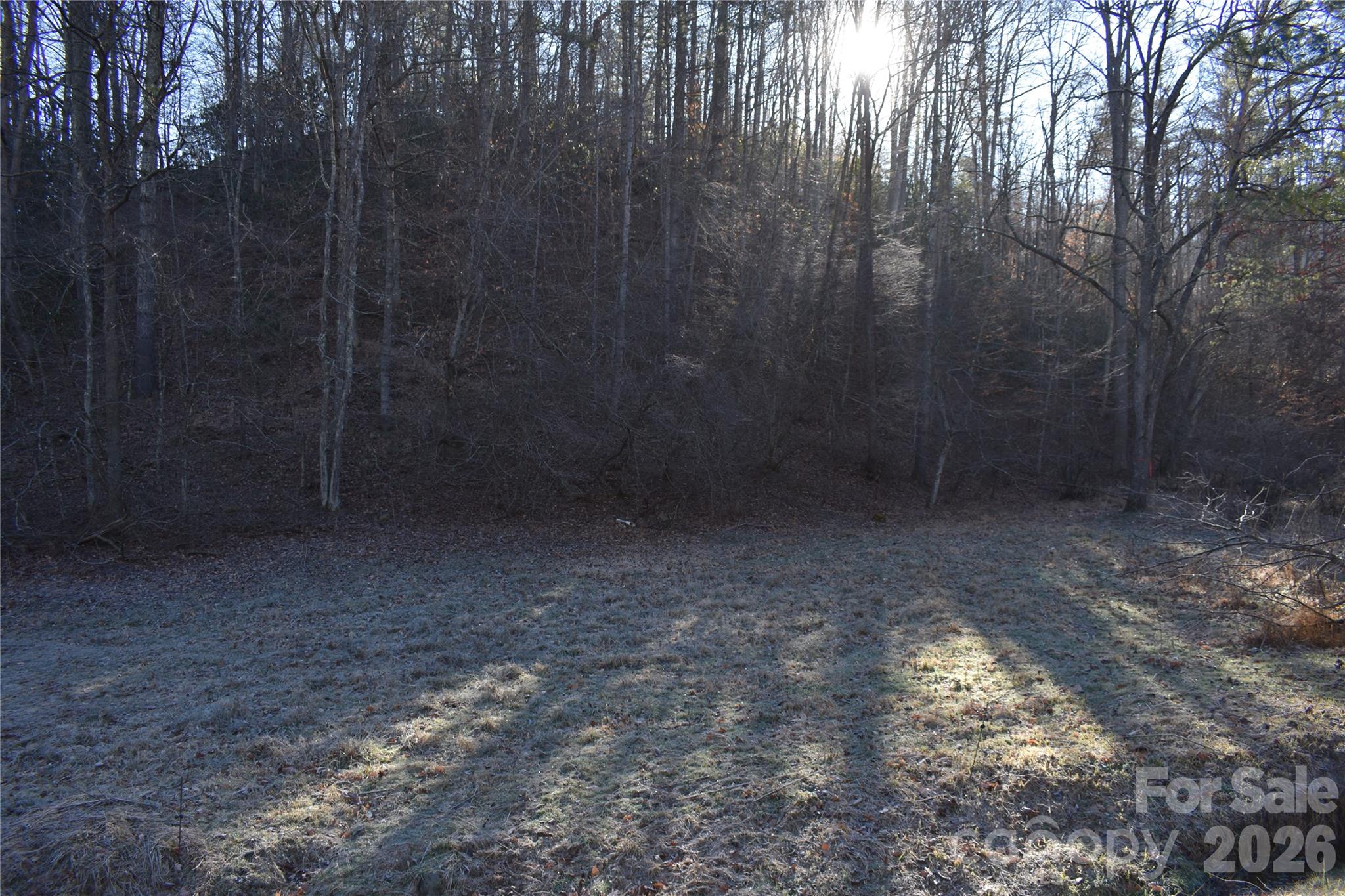 448 Sweetwater Road Green Mountain, NC 28740 - Photo 4 of 47