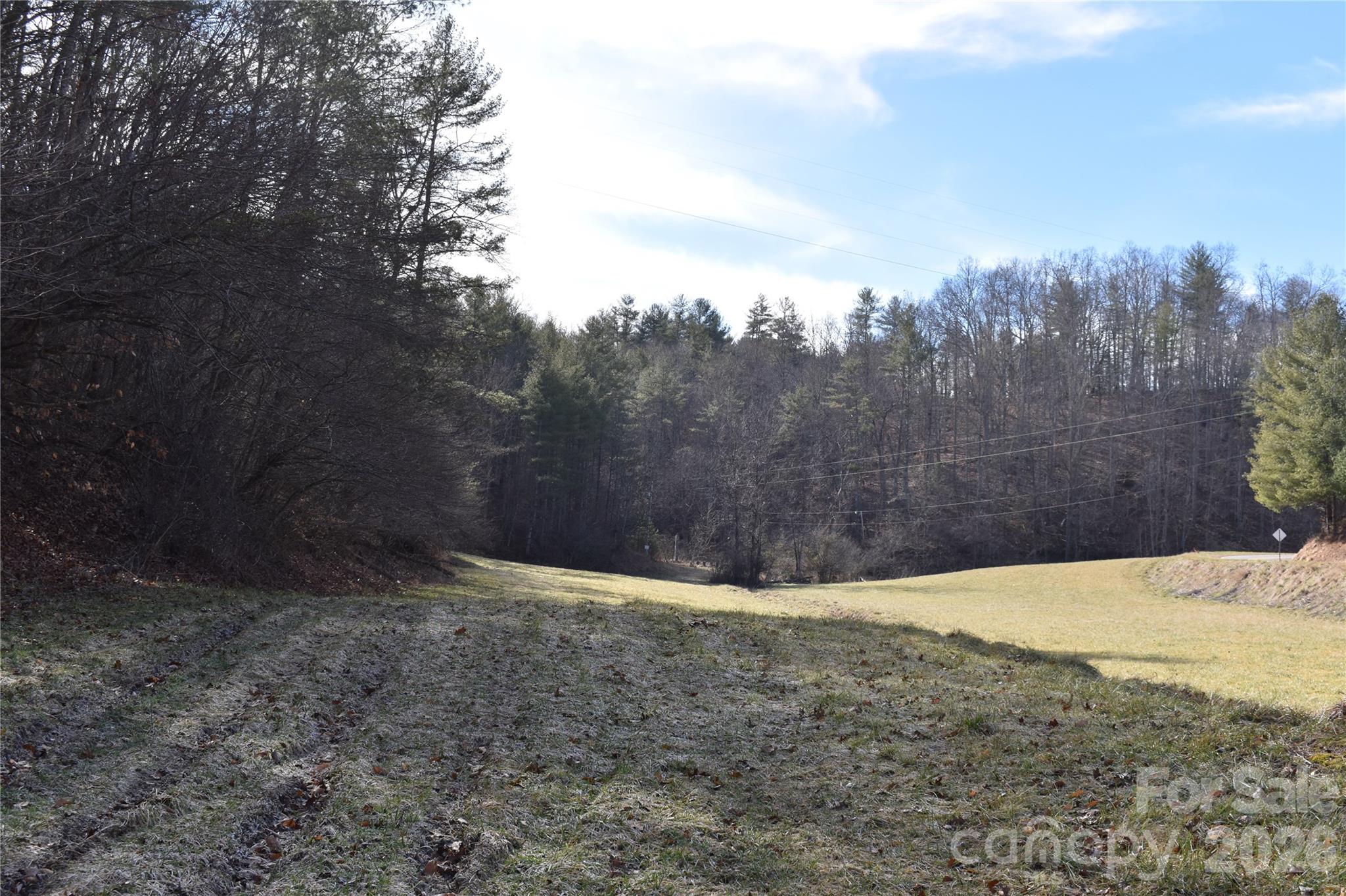 448 Sweetwater Road Green Mountain, NC 28740 - Photo 42 of 47