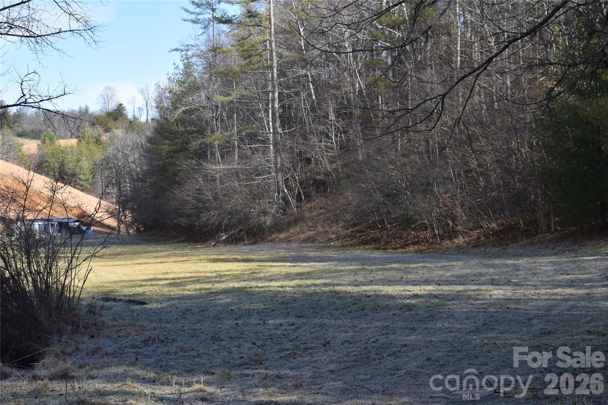 448 Sweetwater Road Green Mountain, NC 28740 - Photo 43 of 47