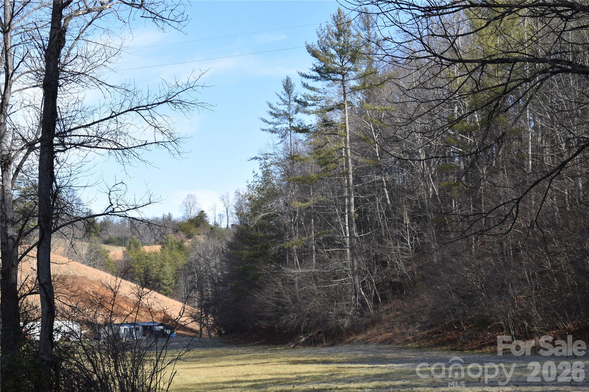 448 Sweetwater Road Green Mountain, NC 28740 - Photo 44 of 47