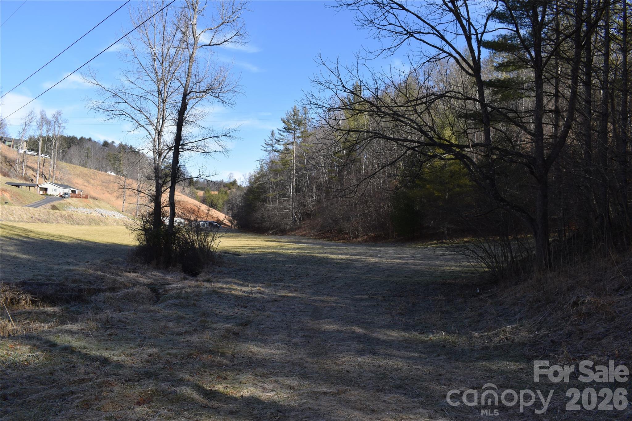 448 Sweetwater Road Green Mountain, NC 28740 - Photo 45 of 47