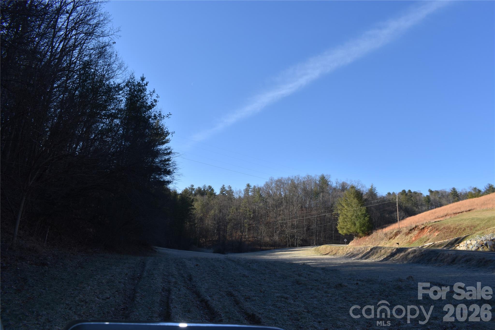 448 Sweetwater Road Green Mountain, NC 28740 - Photo 7 of 47