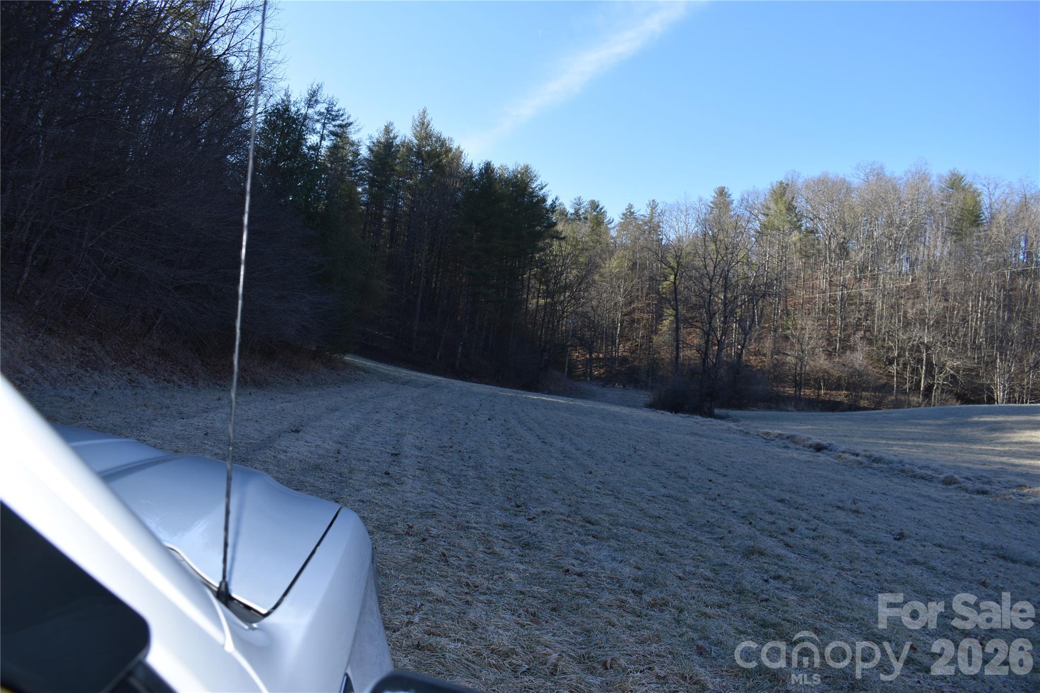 448 Sweetwater Road Green Mountain, NC 28740 - Photo 8 of 47